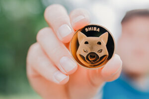 shiba inu memecoin